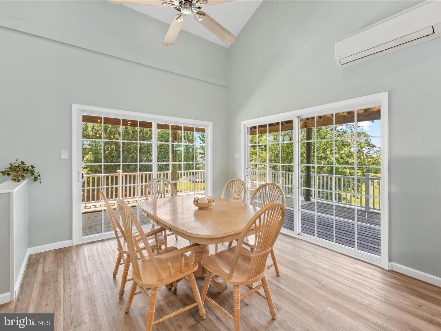 23156 Manokin Court photo 20