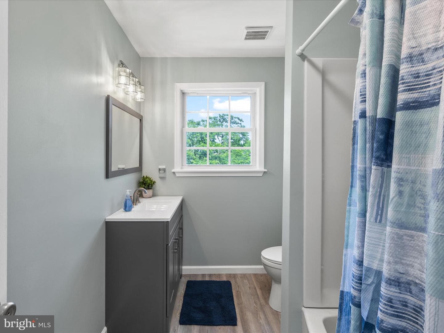 23156 Manokin Court photo 49