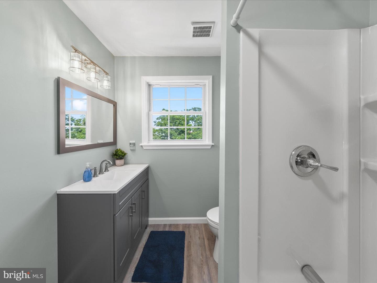 23156 Manokin Court photo 50