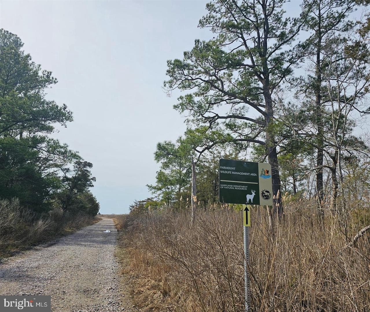 7558 Catlin Road photo 37