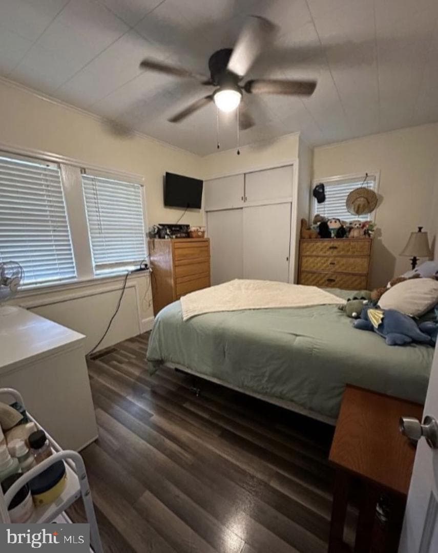 409 Myrtle Street photo 12