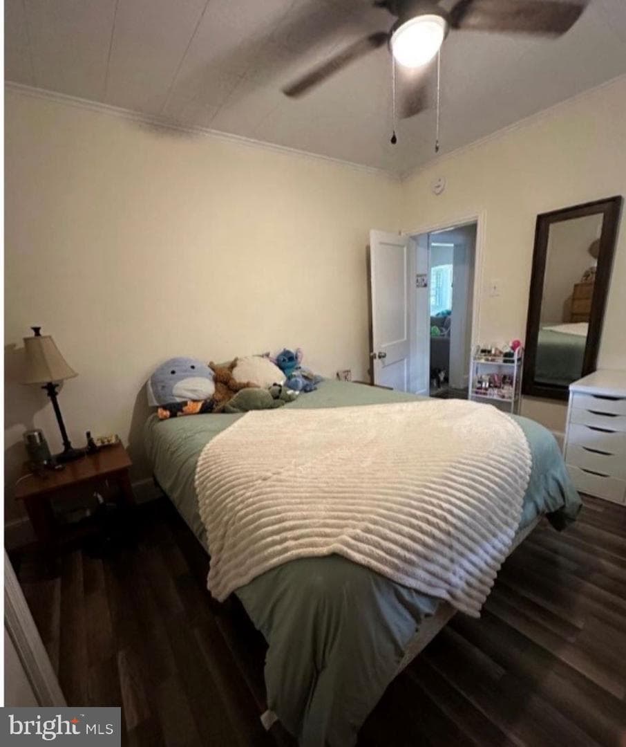 409 Myrtle Street photo 13