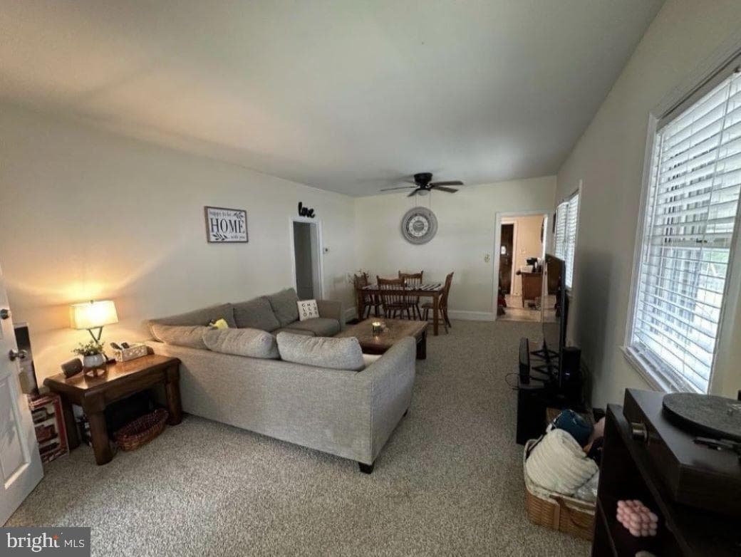 409 Myrtle Street photo 4