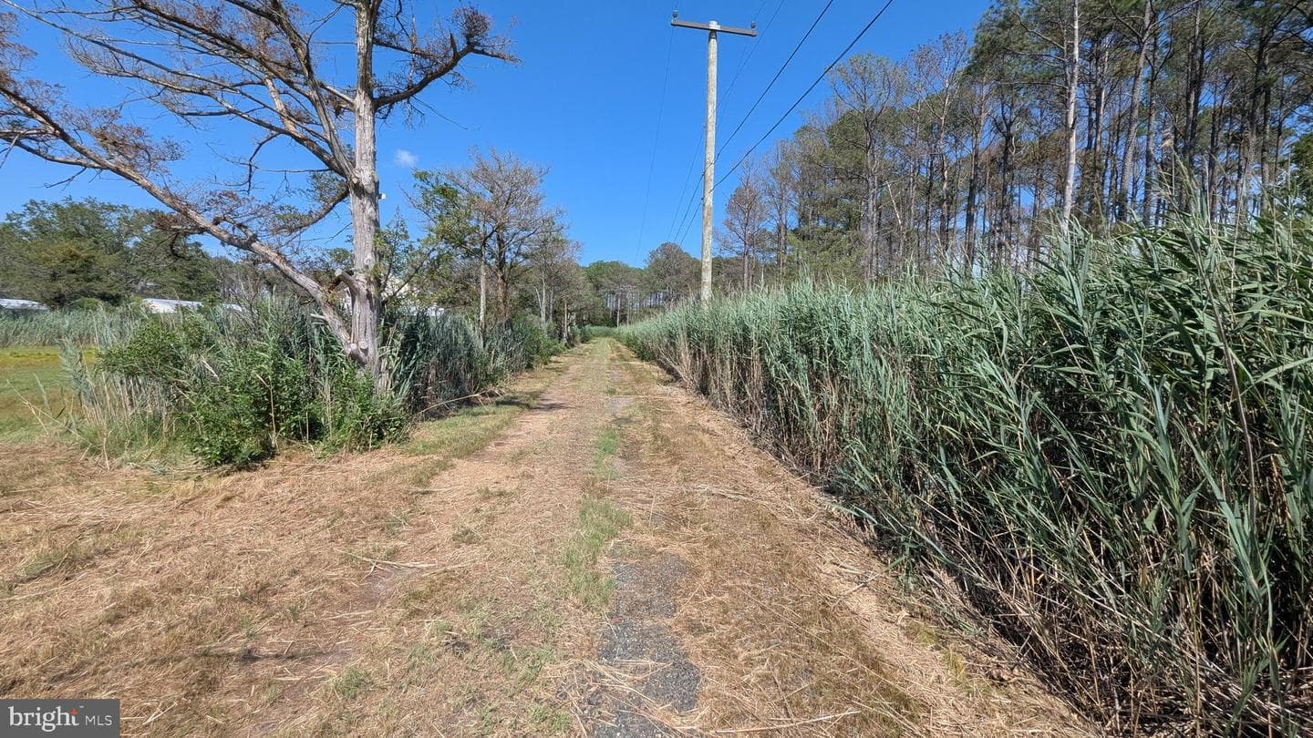 3012 William Maddox Road photo 10
