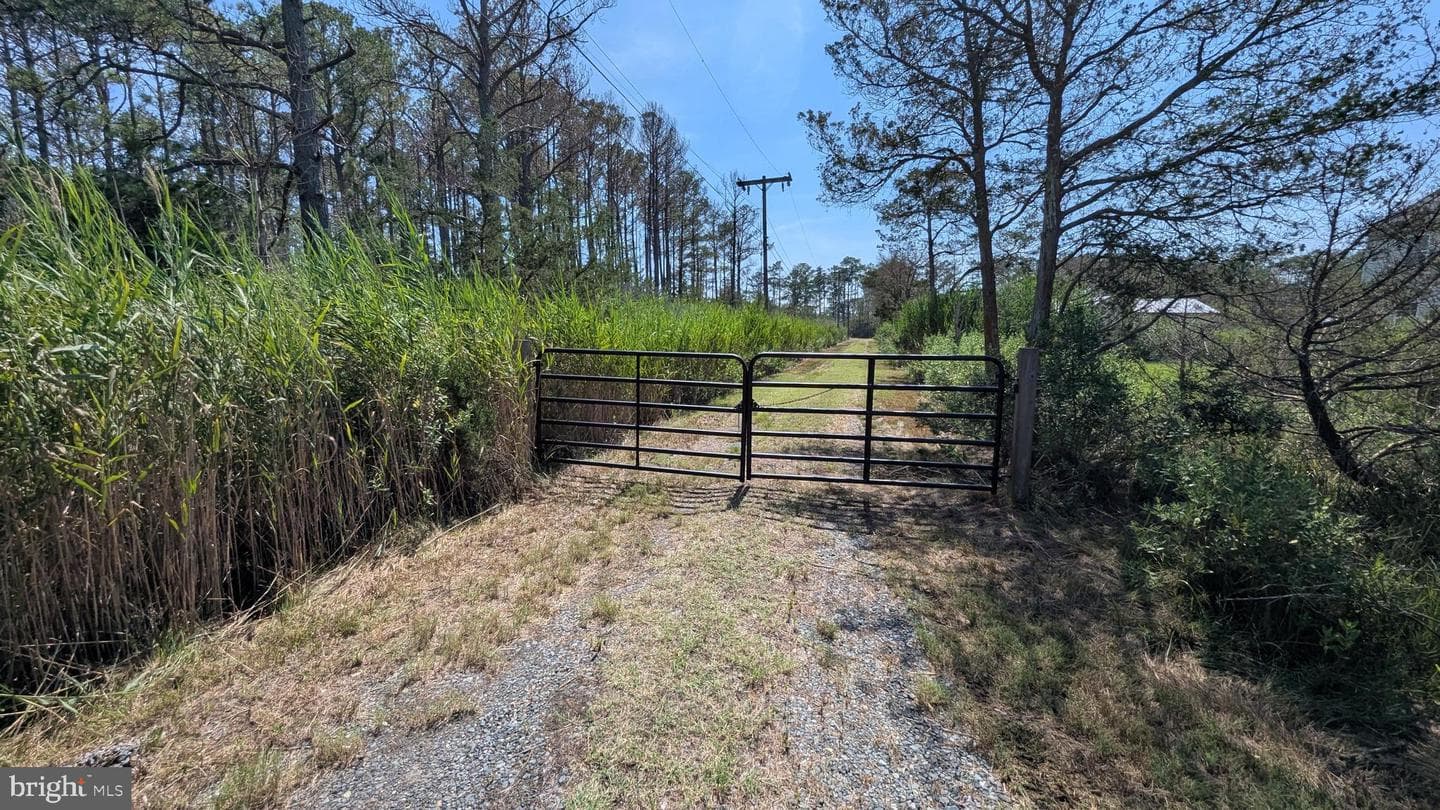 3012 William Maddox Road photo 14