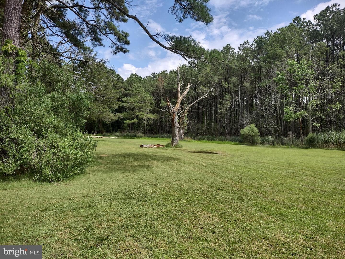 3175 Boone Road photo 5