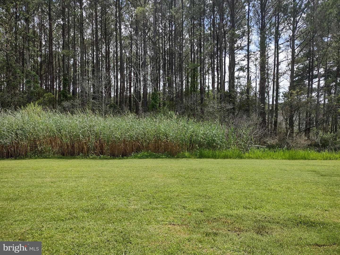 3175 Boone Road photo 6