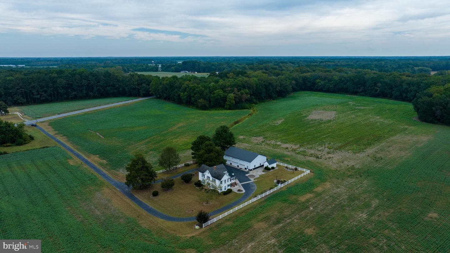 7751 Dividing Creek photo 3