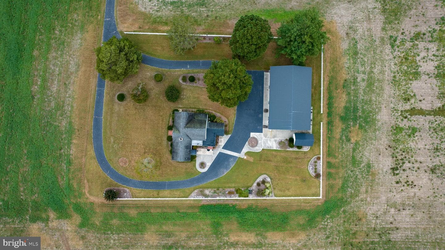 7751 Dividing Creek photo 6