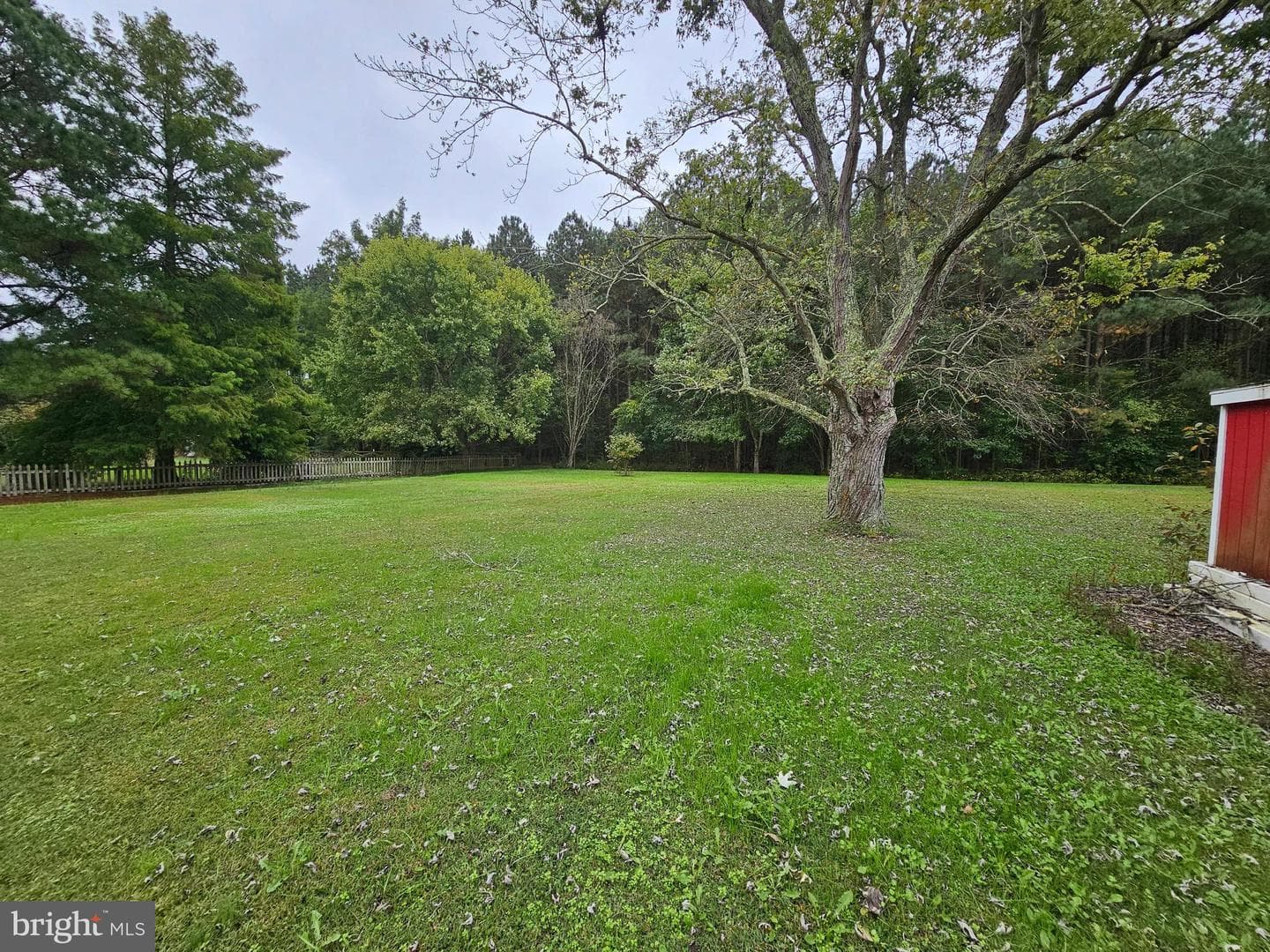 29769 Kingston Lane photo 50