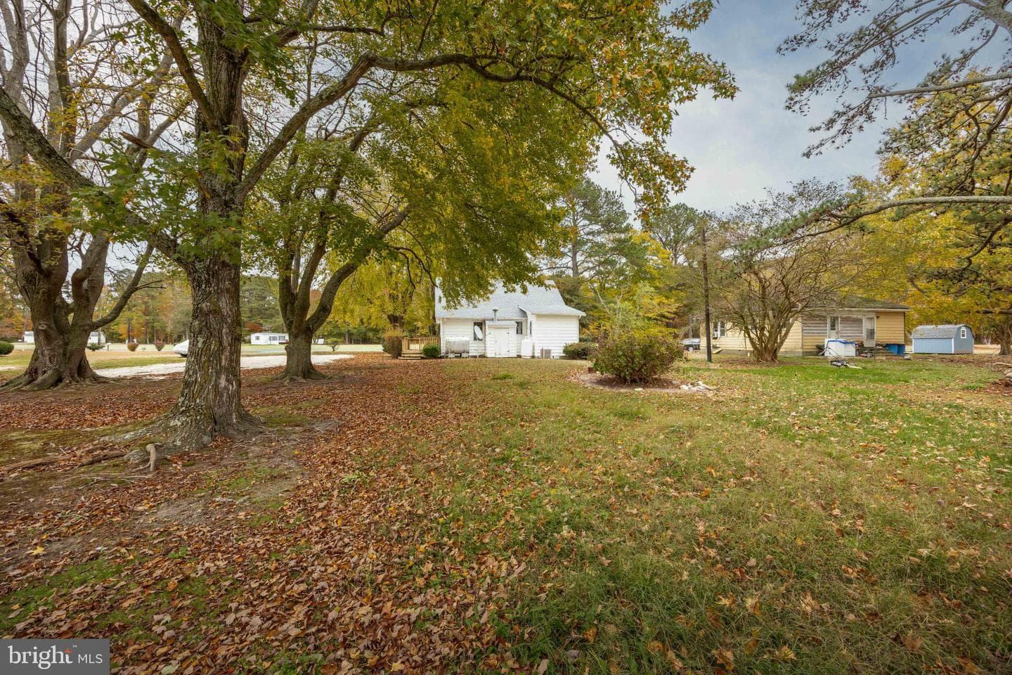 28766 Larry Lankford Road photo 30