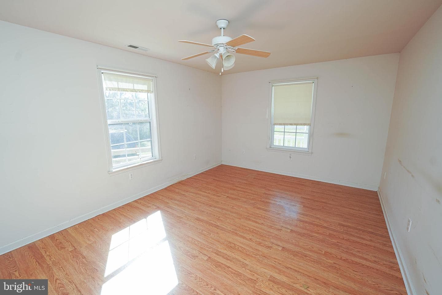 23290 Custom House Road photo 16