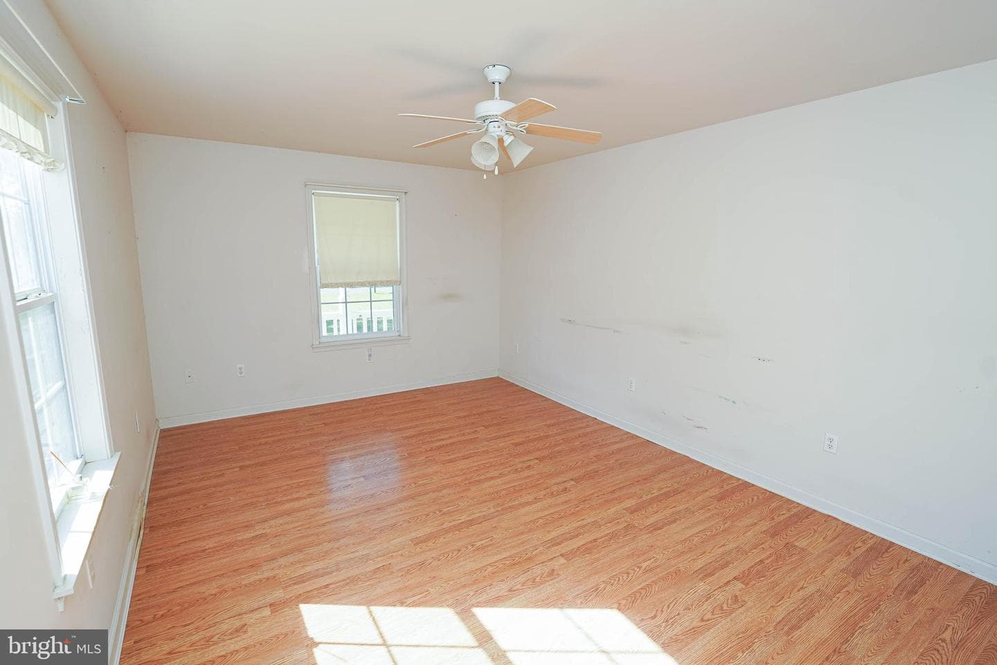 23290 Custom House Road photo 17