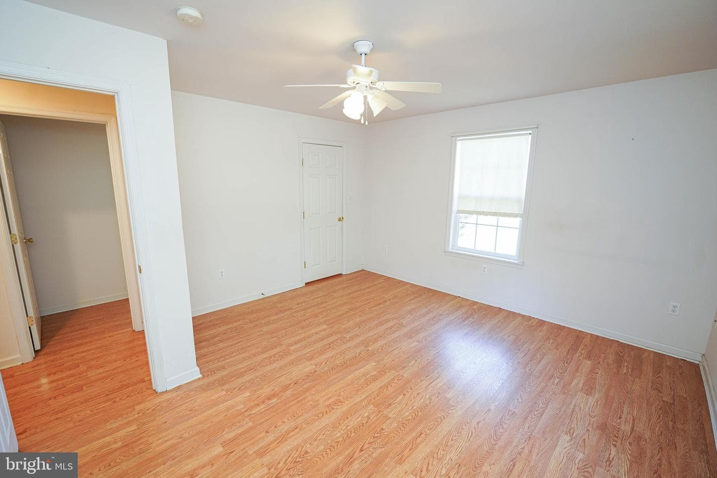 23290 Custom House Road photo 22