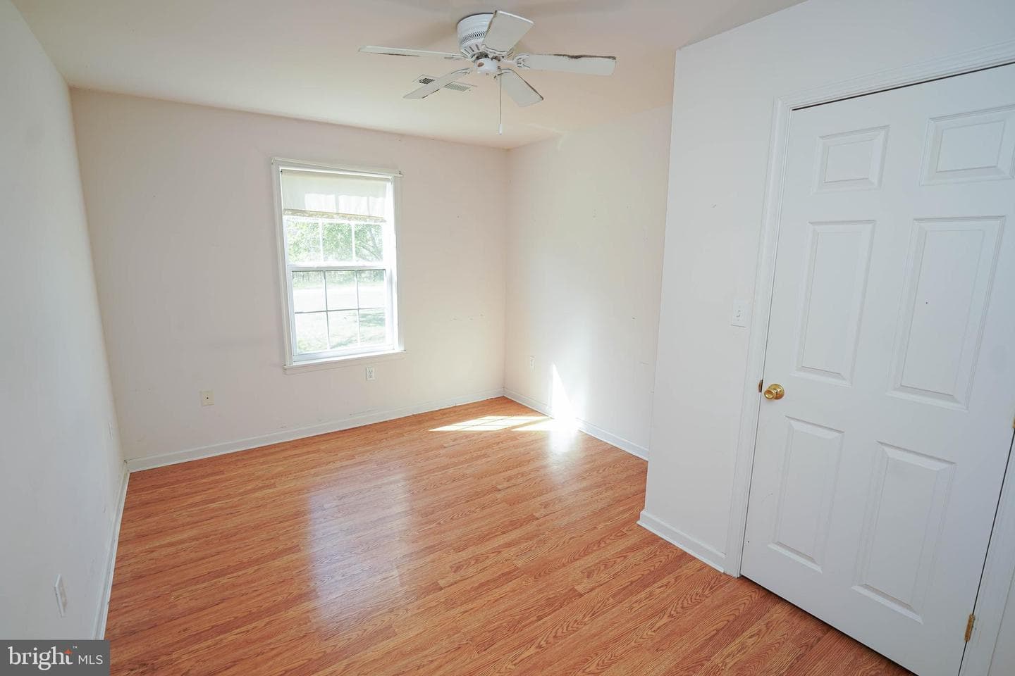 23290 Custom House Road photo 34