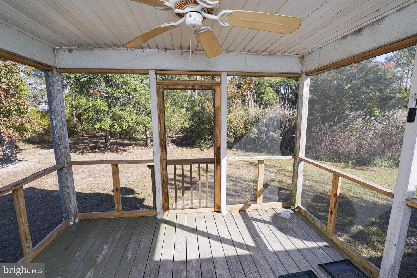 23290 Custom House Road photo 52