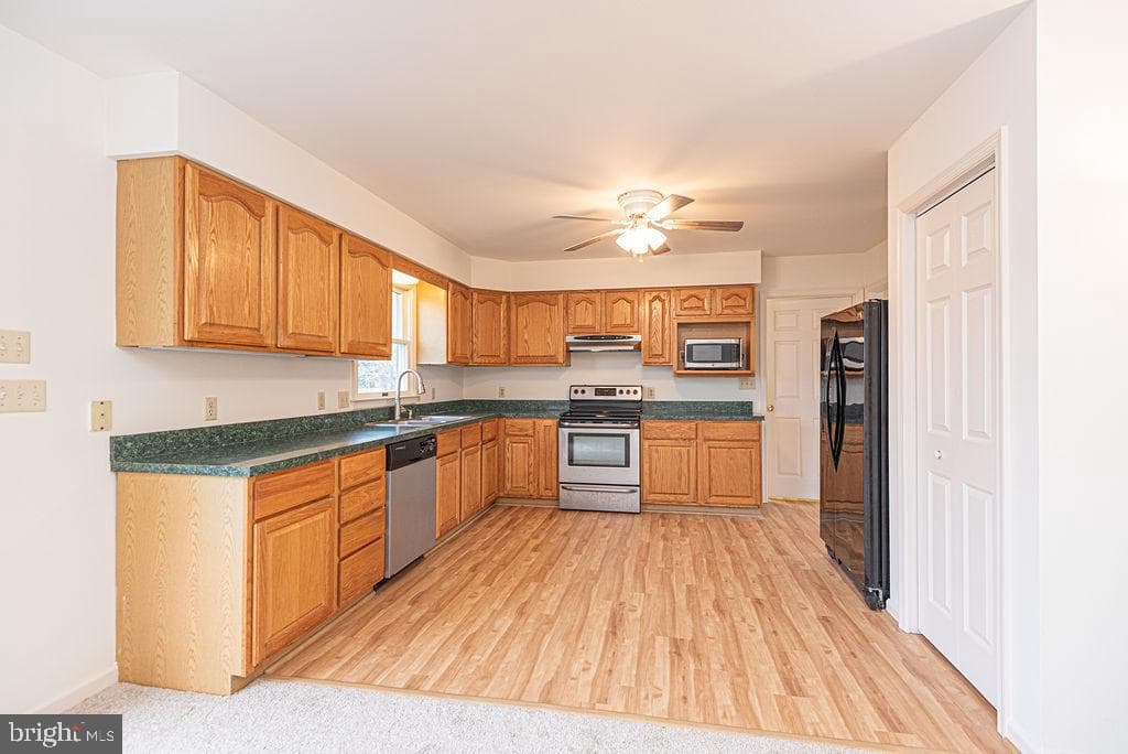 11410 Hayman Drive photo 7