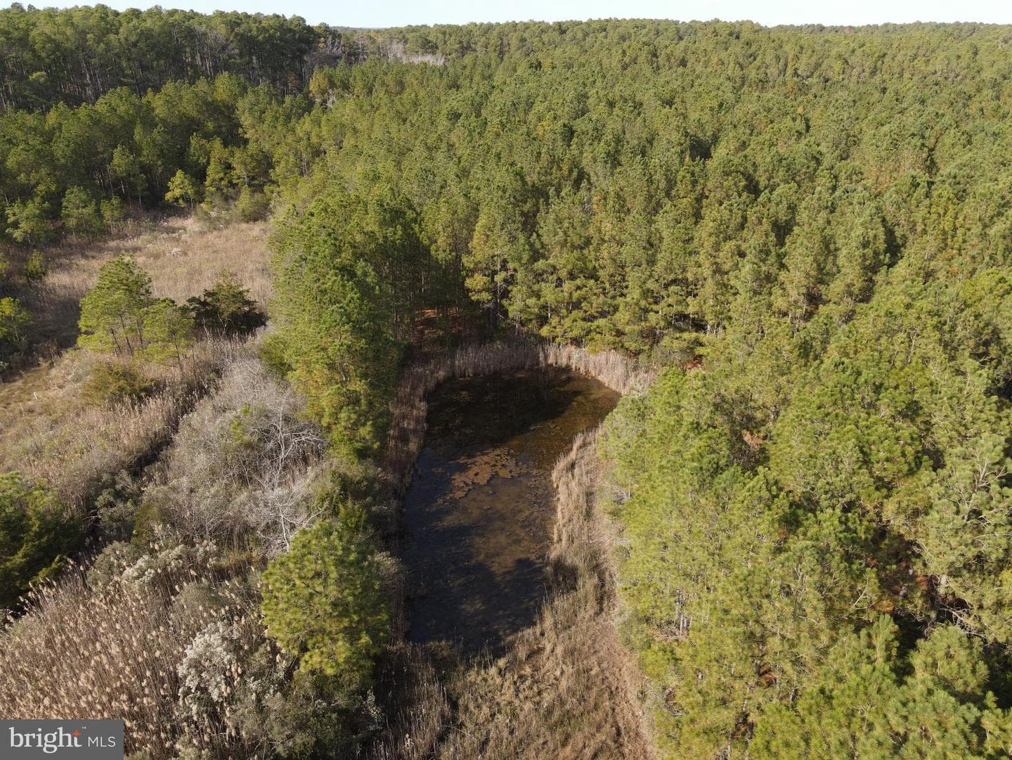 10407 William Sharpless Road photo 7