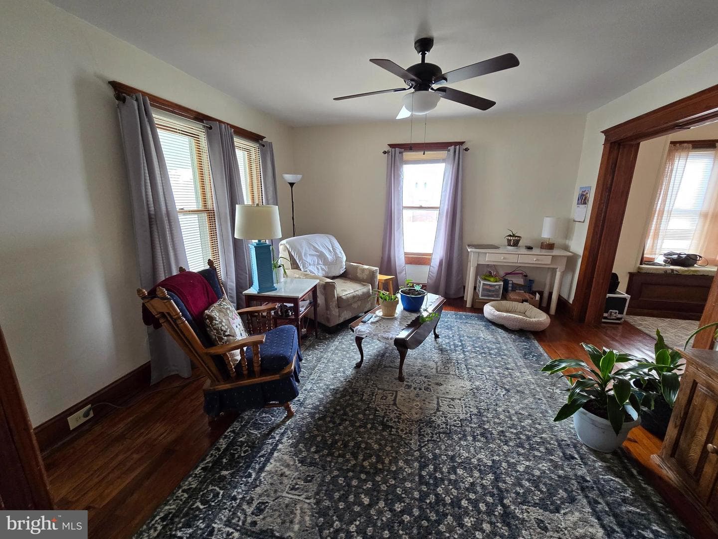 52 Maryland Avenue photo 5
