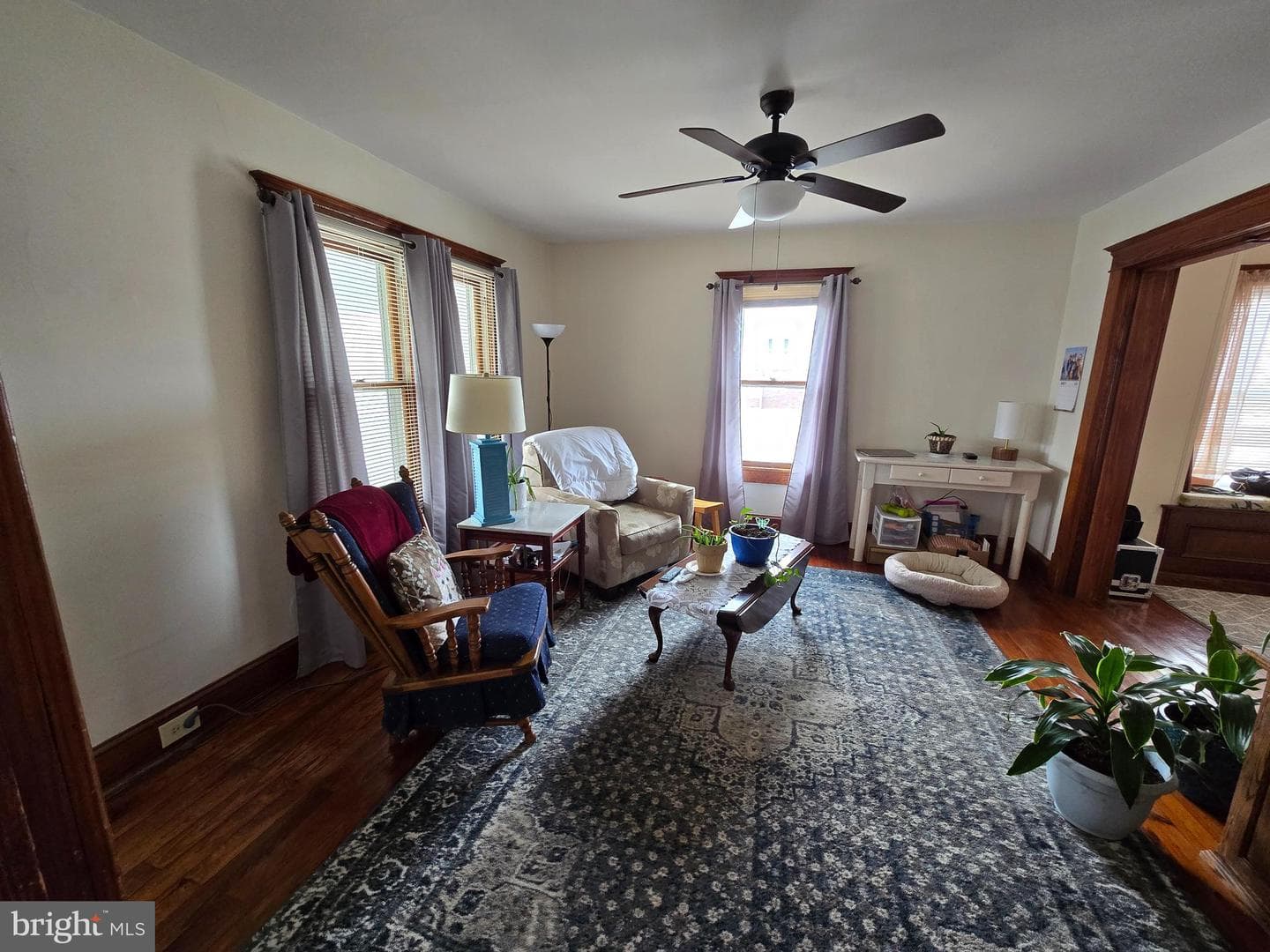 52 Maryland Avenue photo 6