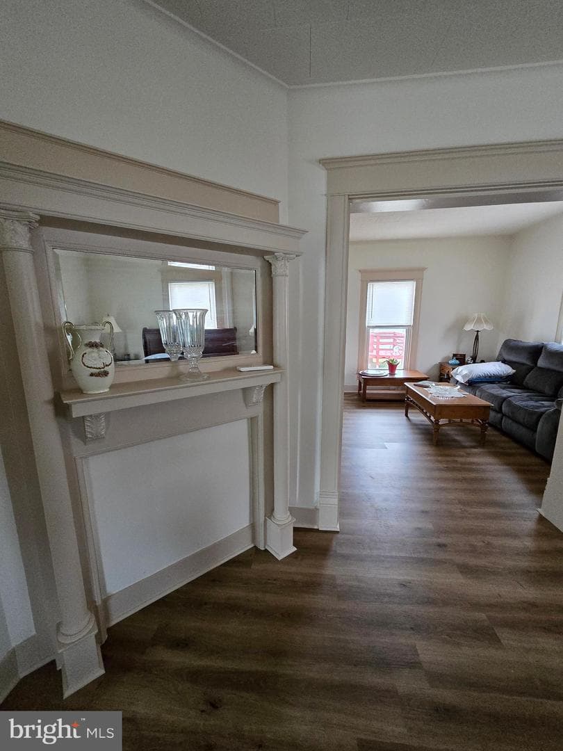 205 Myrtle Street photo 22