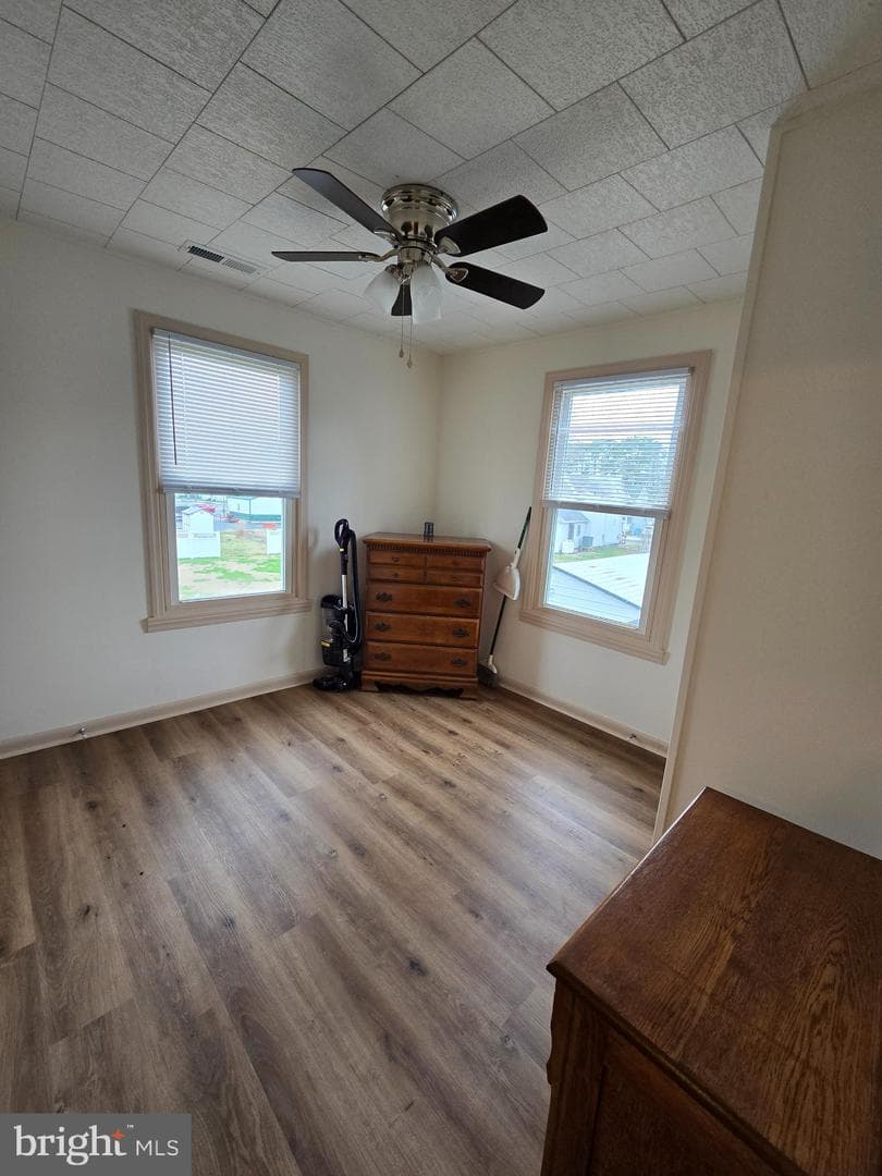 205 Myrtle Street photo 52