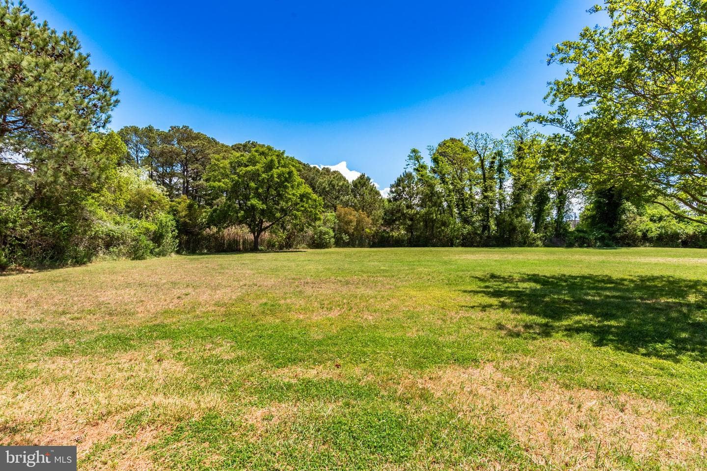 23212 Haines Point Road photo 42