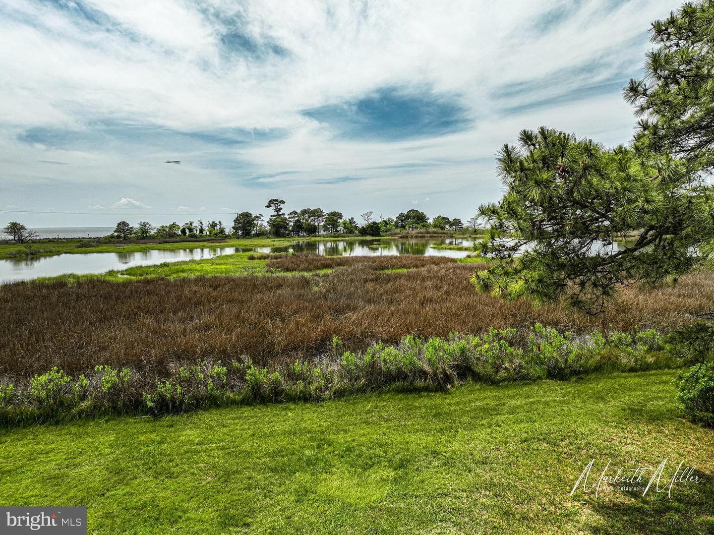 23212 Haines Point Road photo 53