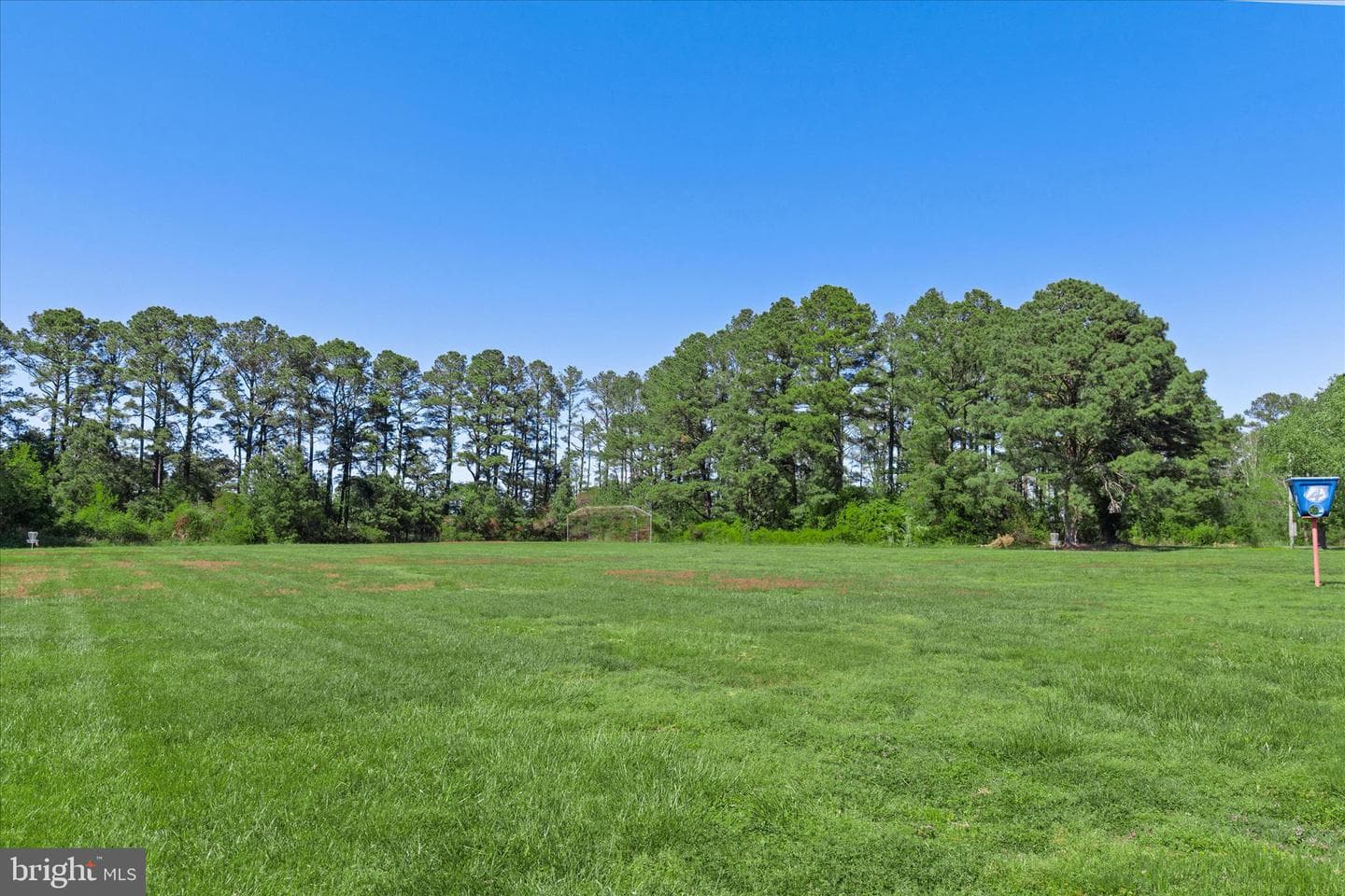 26465 Mason Webster Road photo 47