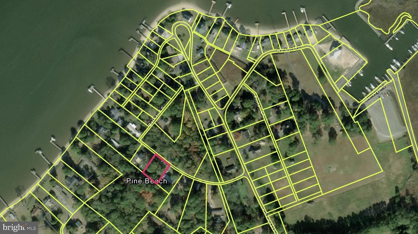 26465 Mason Webster Road photo 52