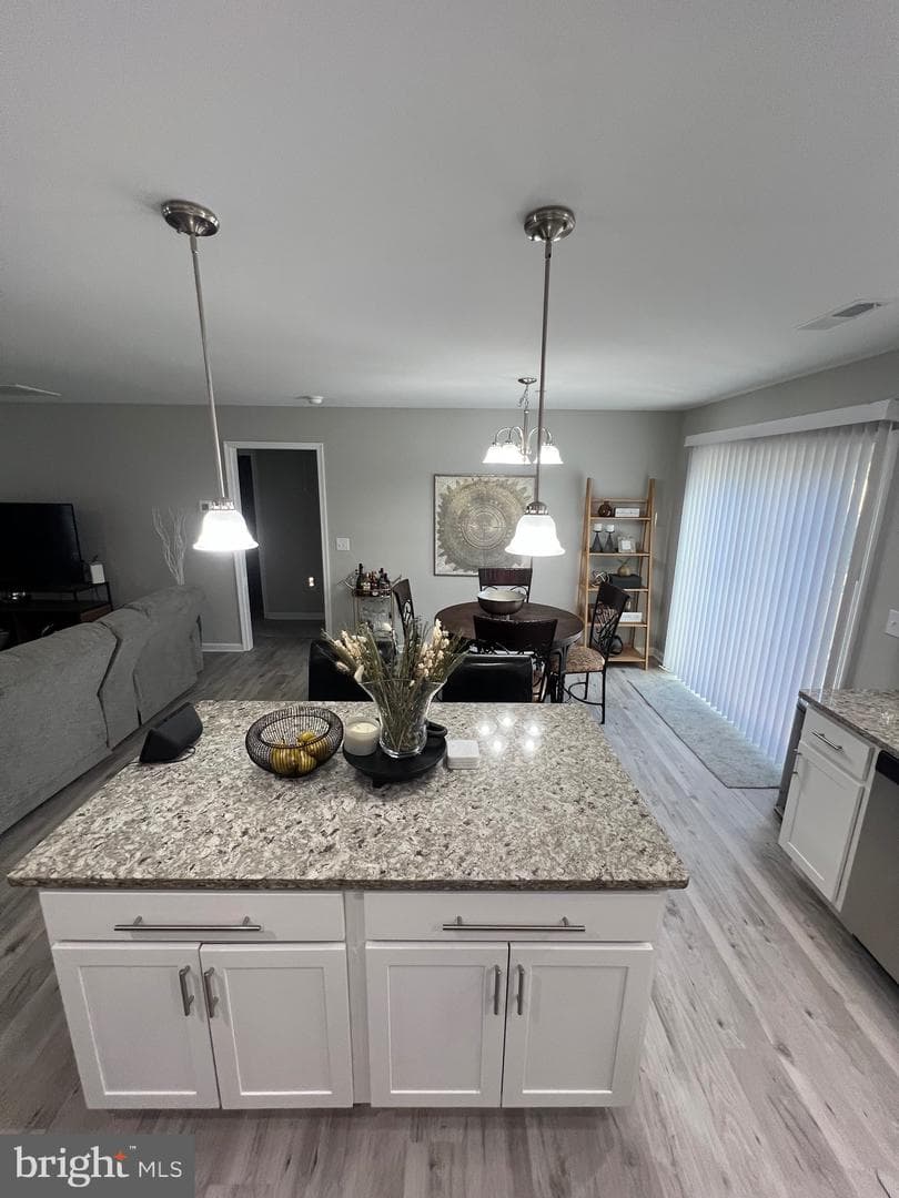 30443 Manor Drive photo 11