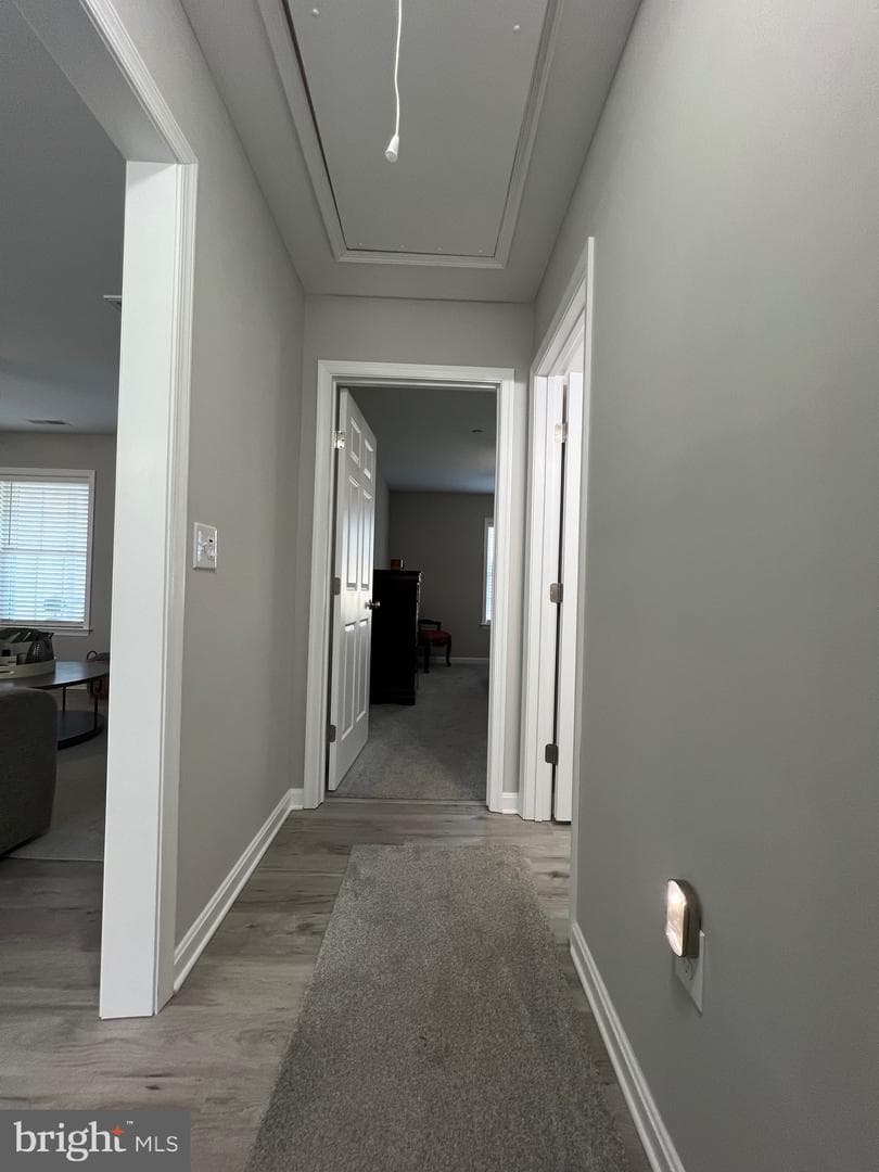 30443 Manor Drive photo 13