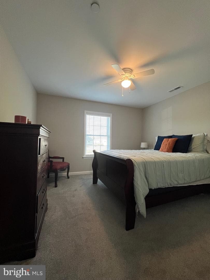 30443 Manor Drive photo 16