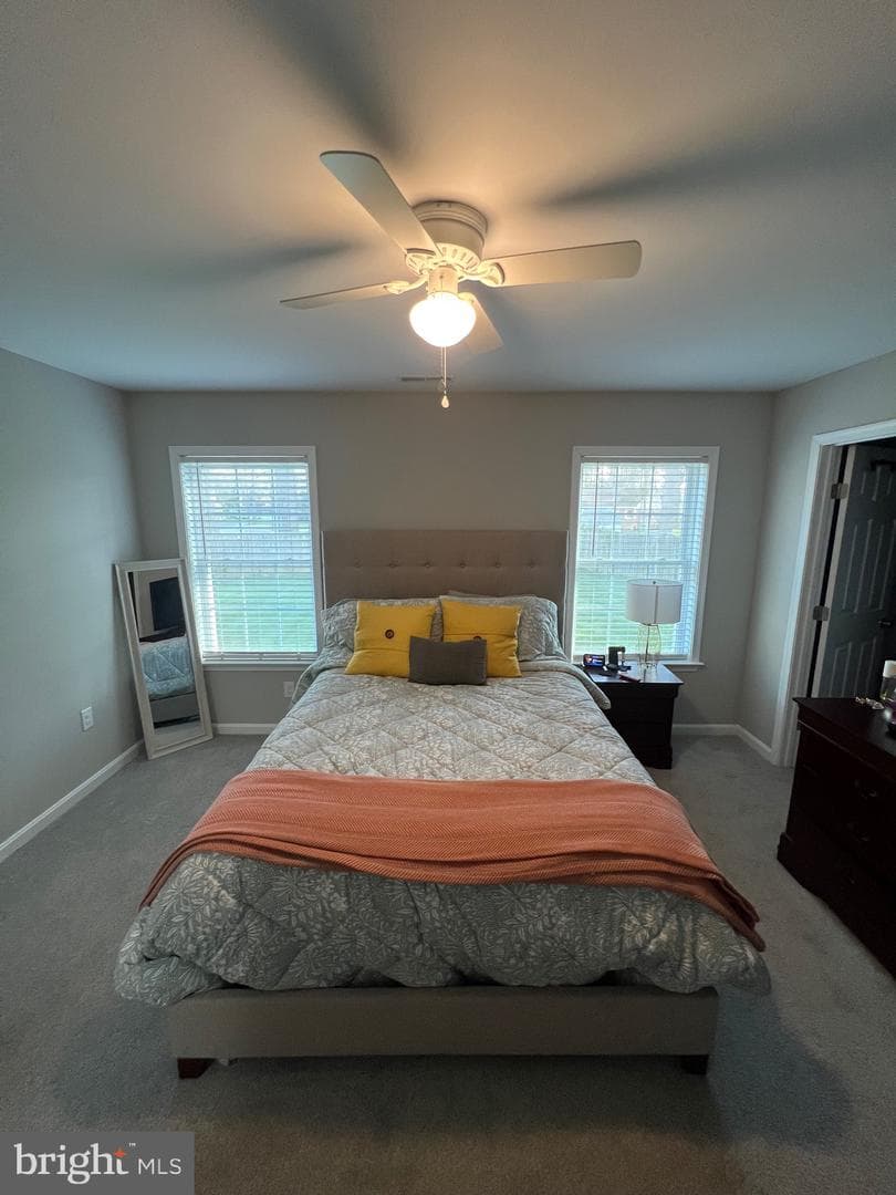 30443 Manor Drive photo 21