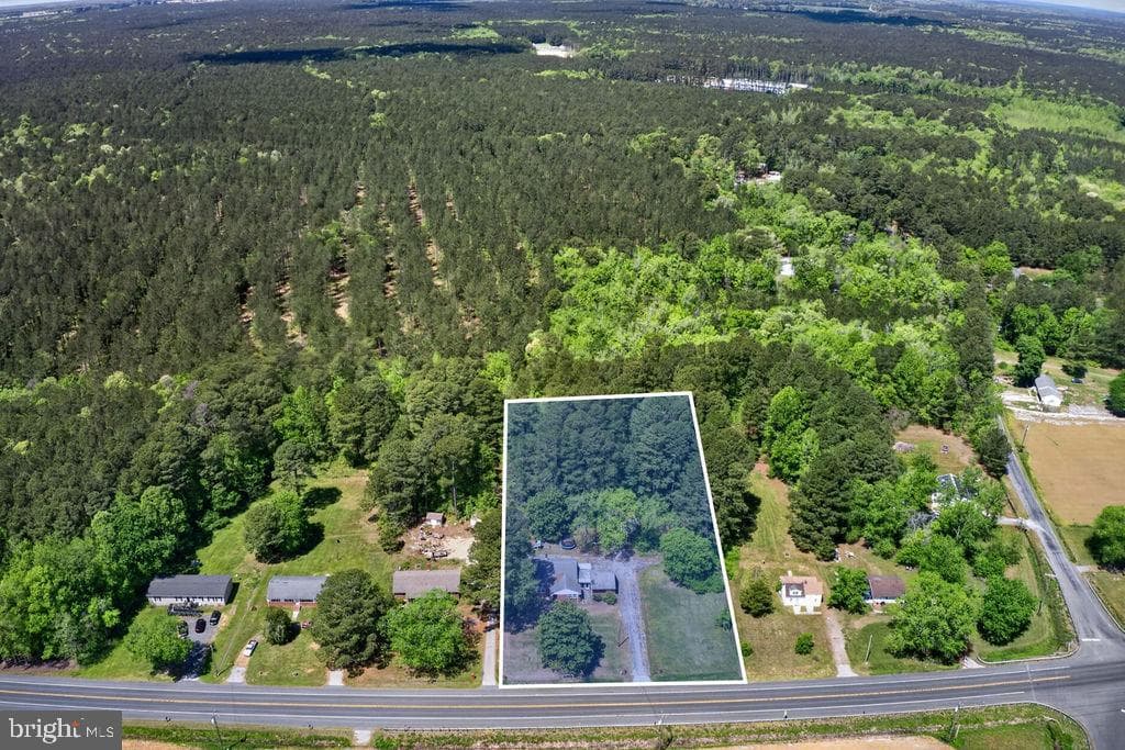 29550 Deal Island Road photo 4