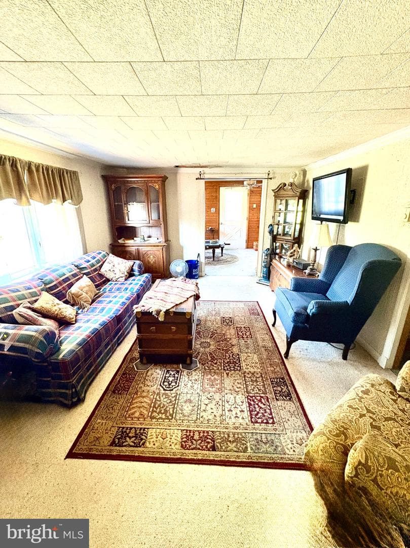 21162 Tuff Street photo 4
