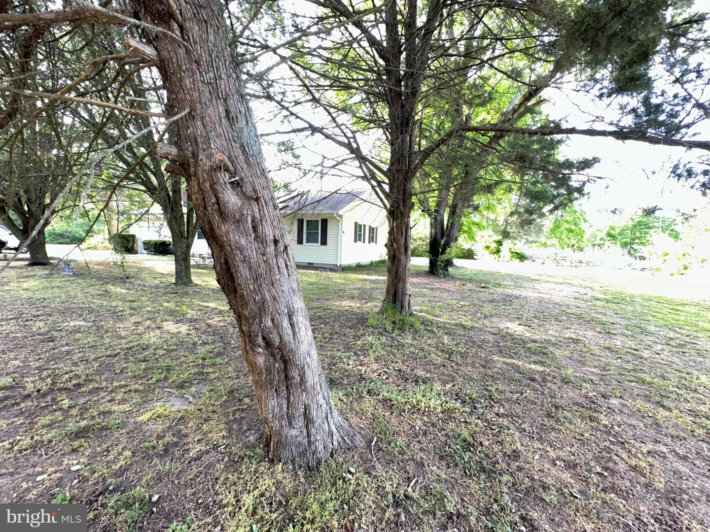 8062 Dividing Road photo 20