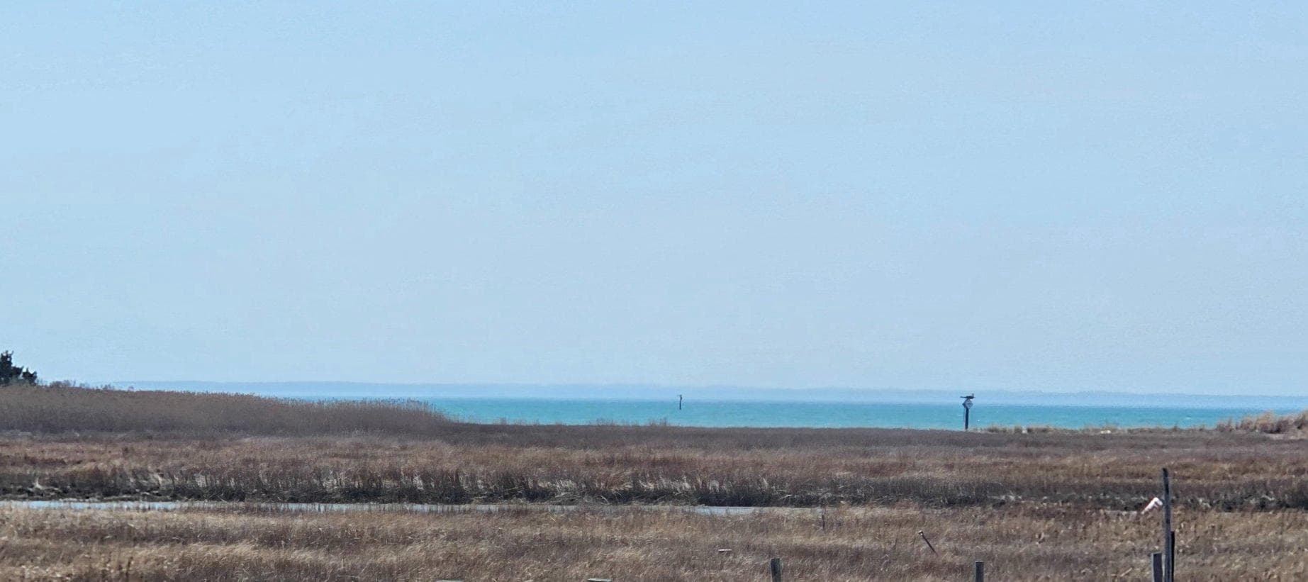 3401 Marsh Road photo 26