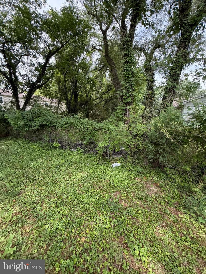 30509 Pecan Drive photo 13