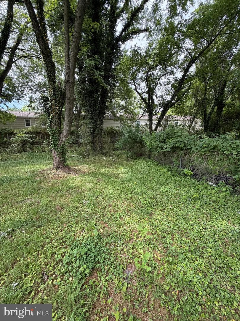 30509 Pecan Drive photo 15