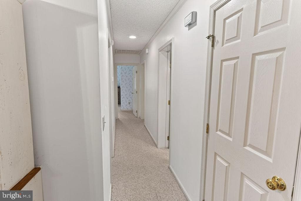 30124 Peggy Ln photo 29
