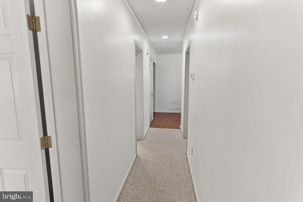 30124 Peggy Ln photo 30