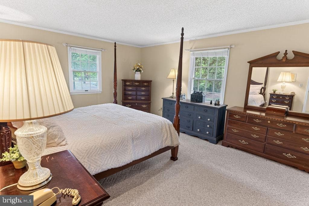 30124 Peggy Ln photo 31