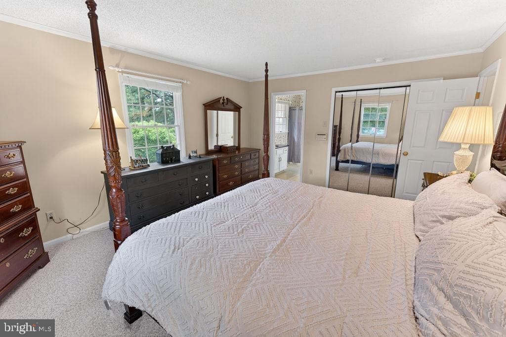 30124 Peggy Ln photo 33