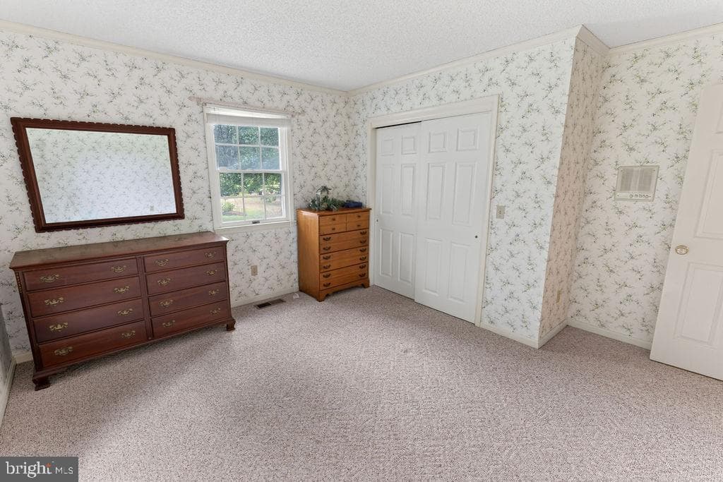 30124 Peggy Ln photo 37