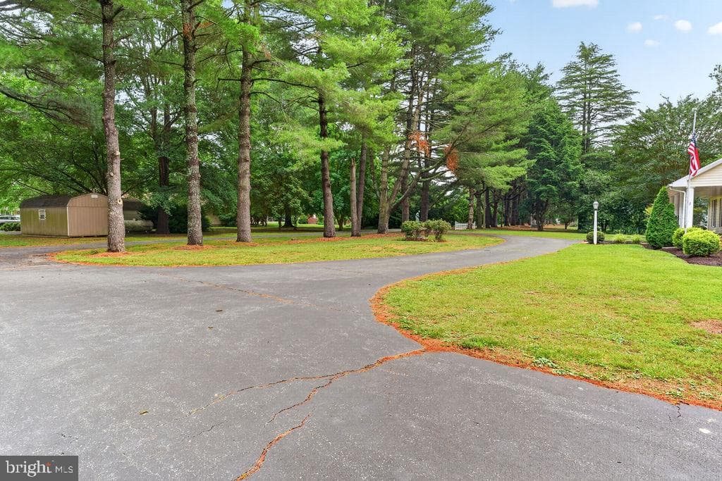 30124 Peggy Ln photo 47