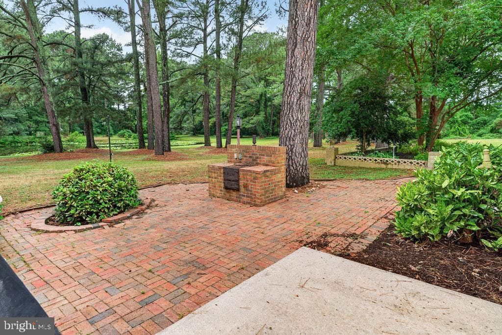 30124 Peggy Ln photo 50