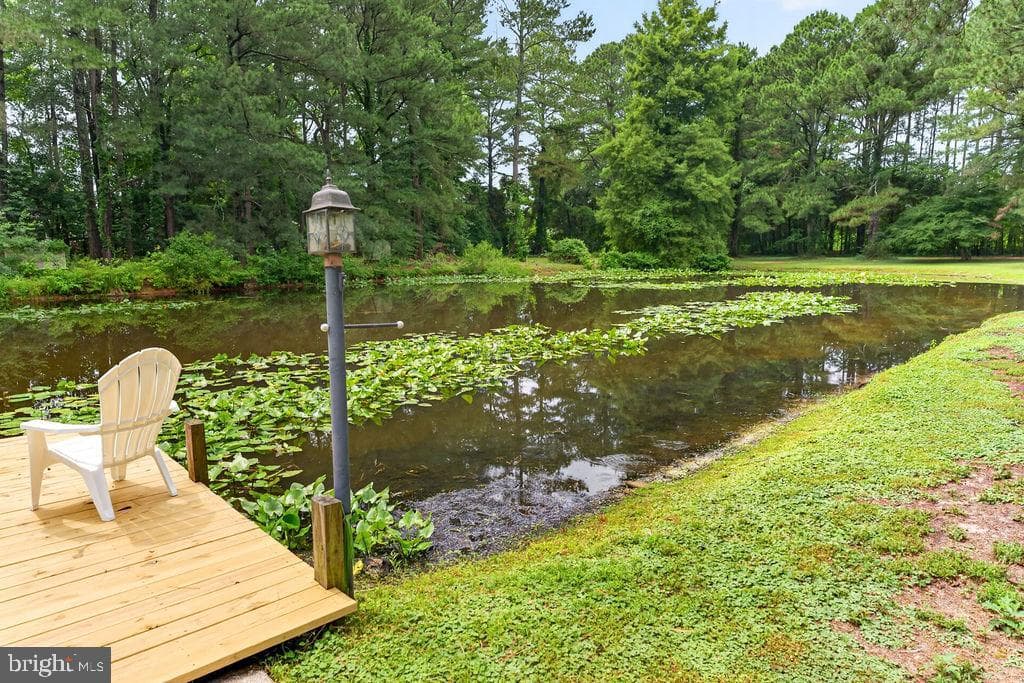 30124 Peggy Ln photo 52