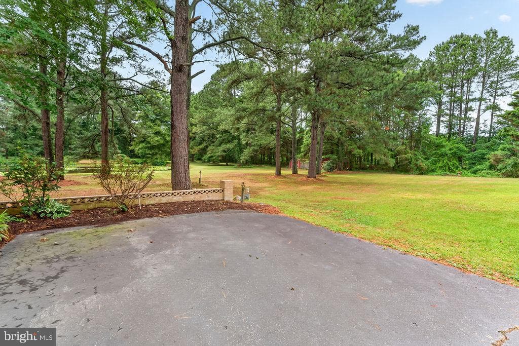 30124 Peggy Ln photo 54