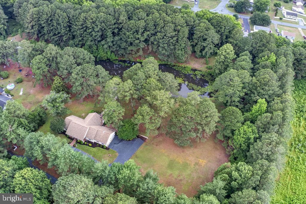 30124 Peggy Ln photo 55